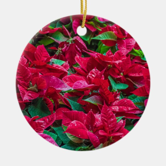 Poinsettia Julgran ornament (Framsidan)