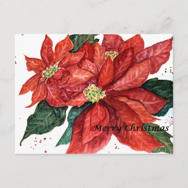 Poinsettia julkort helg vykort (Framsida)