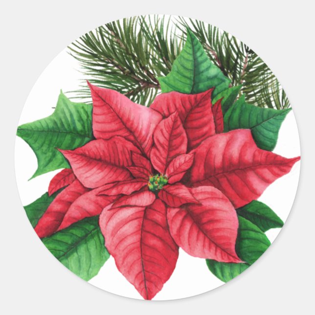 Poinsettia julsticker runt klistermärke (Framsida)
