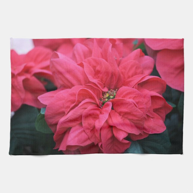 Poinsettia Kitchen Towel Kökshandduk (Horisontell)