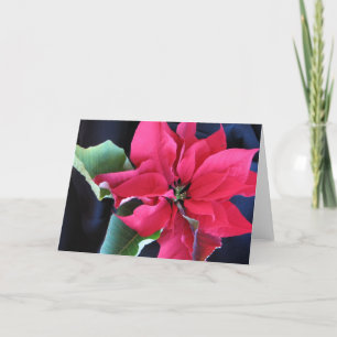 Poinsettia-kort Helgkort