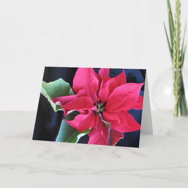 Poinsettia-kort Helgkort (Framsida)