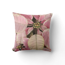 Poinsettia