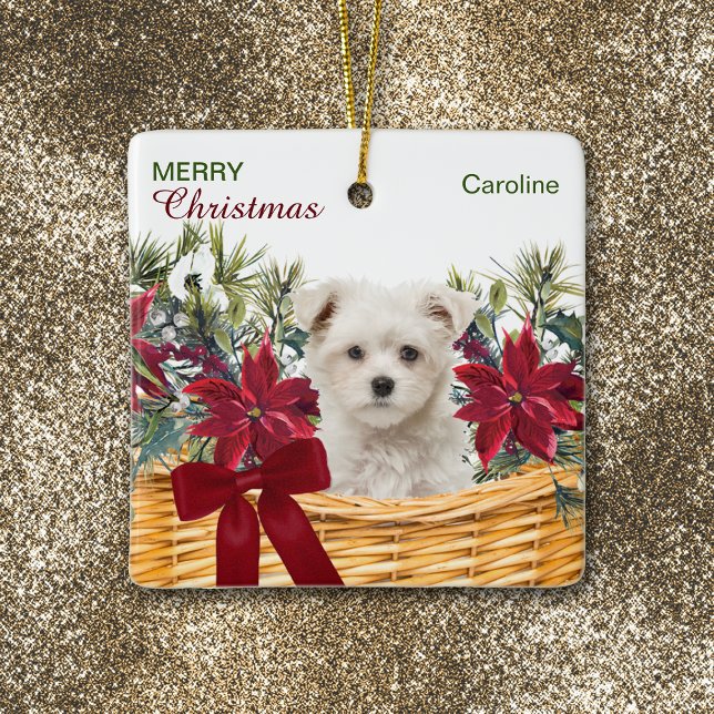 Poinsettia Maltese Puppy jul Basket Julgransprydnad Keramik (Skapare uppladdad)