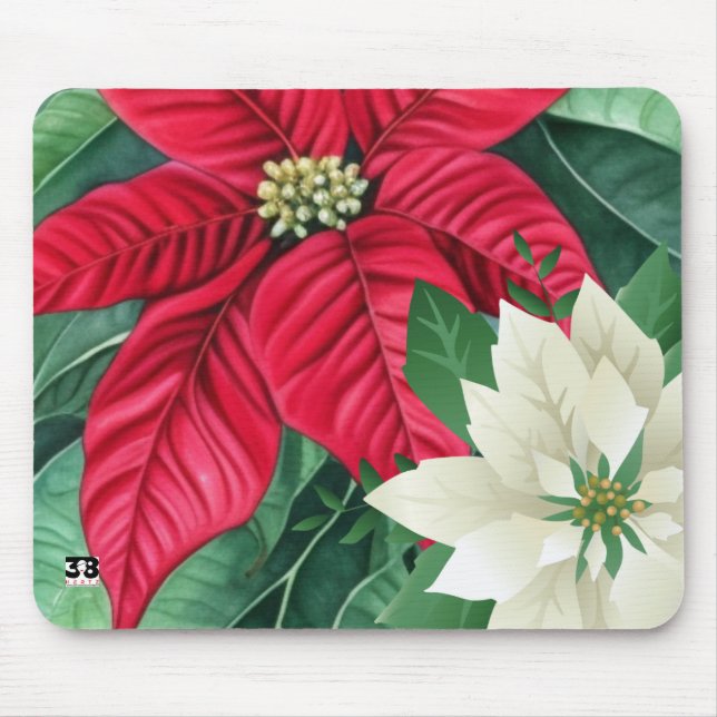 Poinsettia Musmatta (Framsidan)