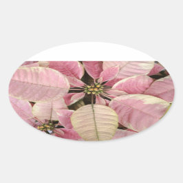 Poinsettia Oval Stickers Ovalt Klistermärke
