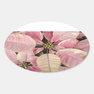 Poinsettia Oval Stickers Ovalt Klistermärke