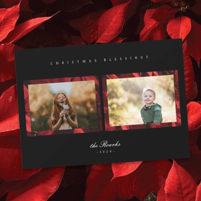 Poinsettia Petals Ram 2-fotojulkort Julkort (Skapare uppladdad)
