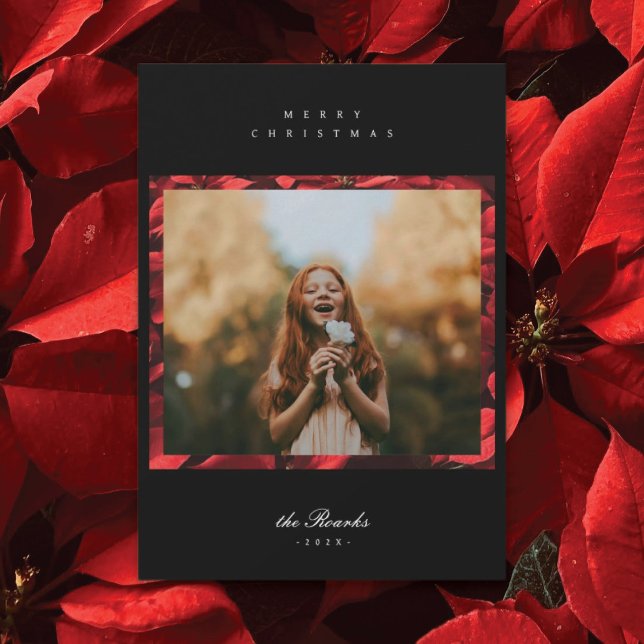 Poinsettia Petals Ram 2-fotojulkort Julkort (Skapare uppladdad)