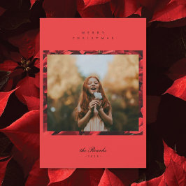 Poinsettia Petals Ram 2-fotojulkort Julkort