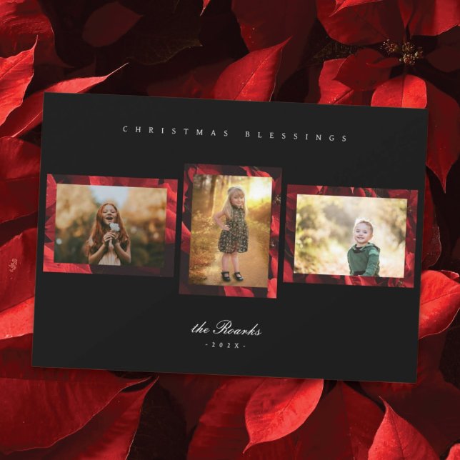 Poinsettia Petals Ram 3-fotojulkort Julkort (Skapare uppladdad)