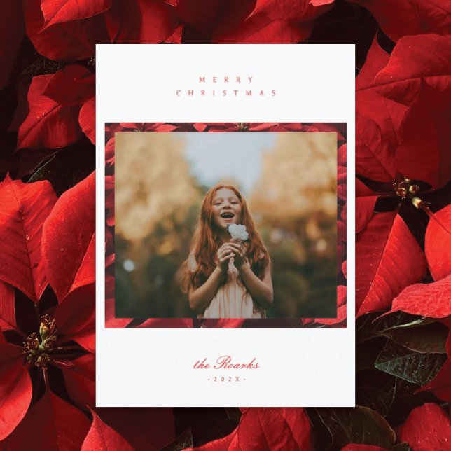 Poinsettia Petals Ram-julkort Julkort (Skapare uppladdad)