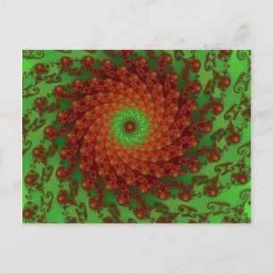 Poinsettia Postcard Vykort