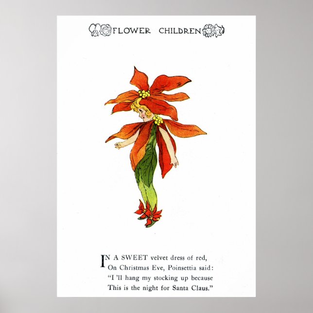 Poinsettia Poster (Framsidan)