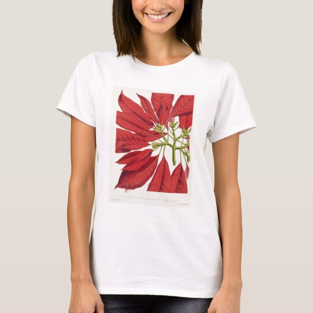Poinsettia Pulcherrima (färg litho) Tröja (Framsida)