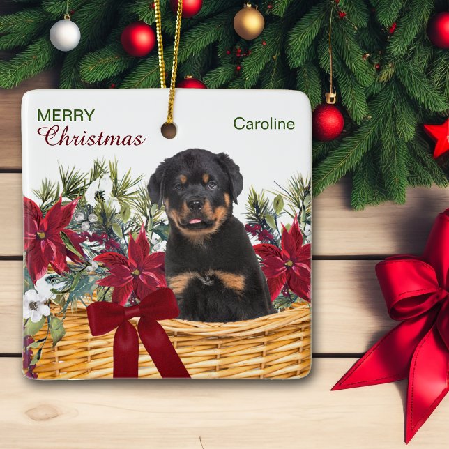 Poinsettia Rottweiler Puppy jul Basket Julgransprydnad Keramik (Skapare uppladdad)