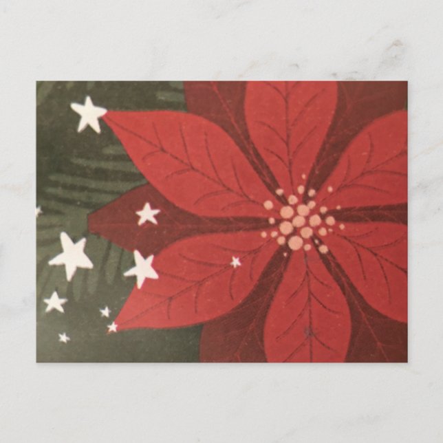 Poinsettia & Stars Helgdag Postcard Helg Vykort (Framsida)