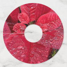 Poinsettia Vin Märkre nr 2