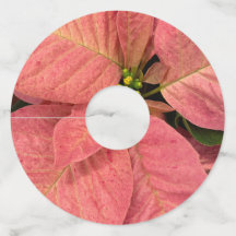 Poinsettia Vin Märkre nr 5