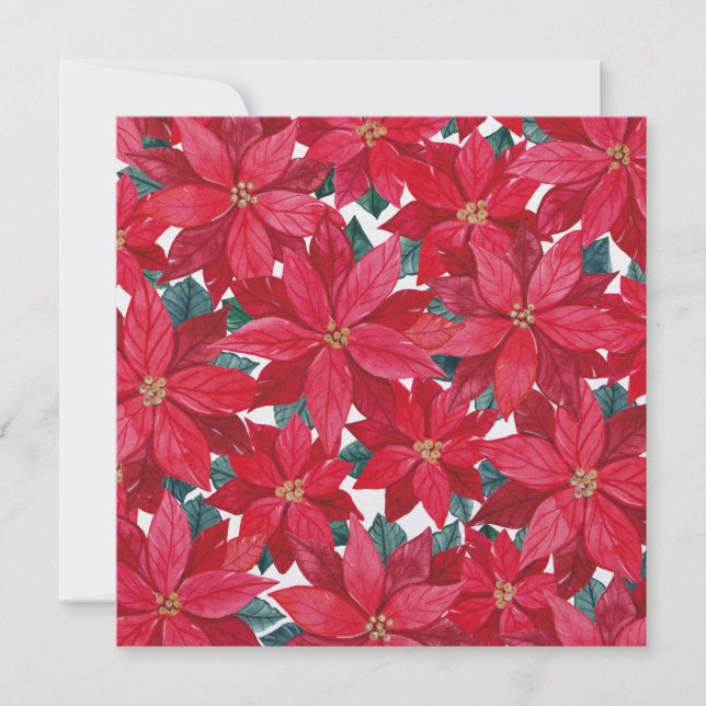 Poinsettia Vinterskydd  Julkort (Framsida)