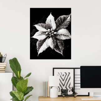 Poinsettia wall konst poster