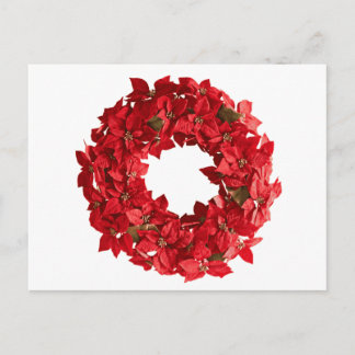 Poinsettia wandeans.png vykort