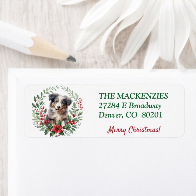 Poinsettia Wandesie Aussie Puppy Returadress Returadress Etikett (Insitu)