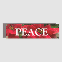 Poinsettias och Peace Car Magnet