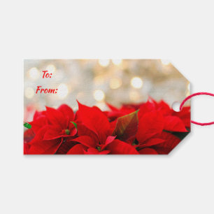 Poinsettias Presentetikett