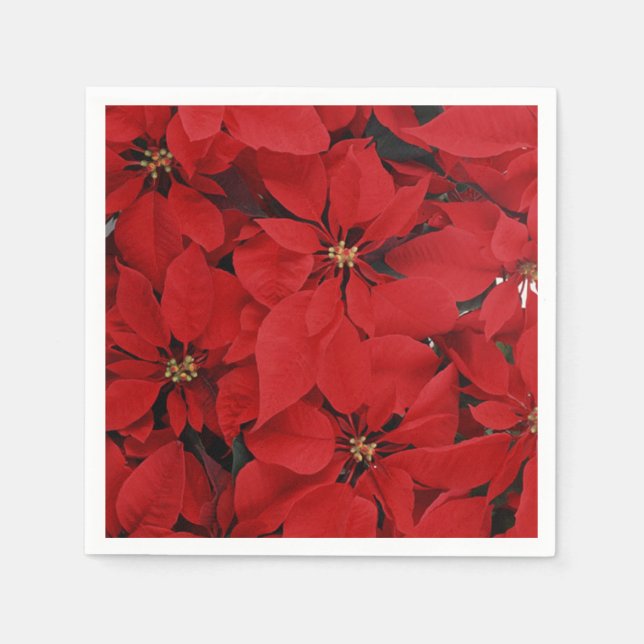 Poinsettias till jul pappersservett (Framsidan)
