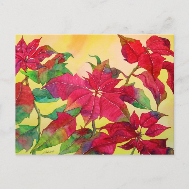 Poinsettias vykort (Framsida)