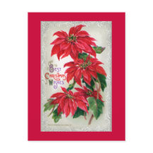 Poinsettias vykort