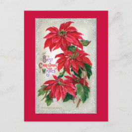 Poinsettias vykort