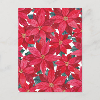 Poinsettias Winter Shelter Vykort