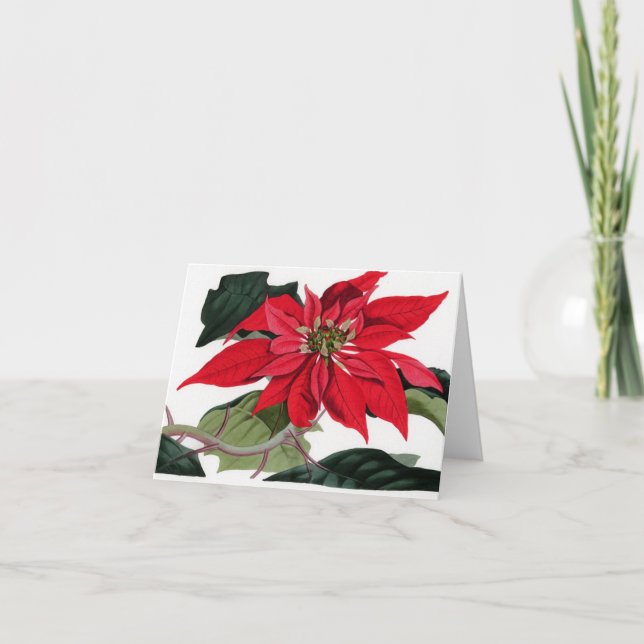 Poinsettiia Helgkort (Framsida)