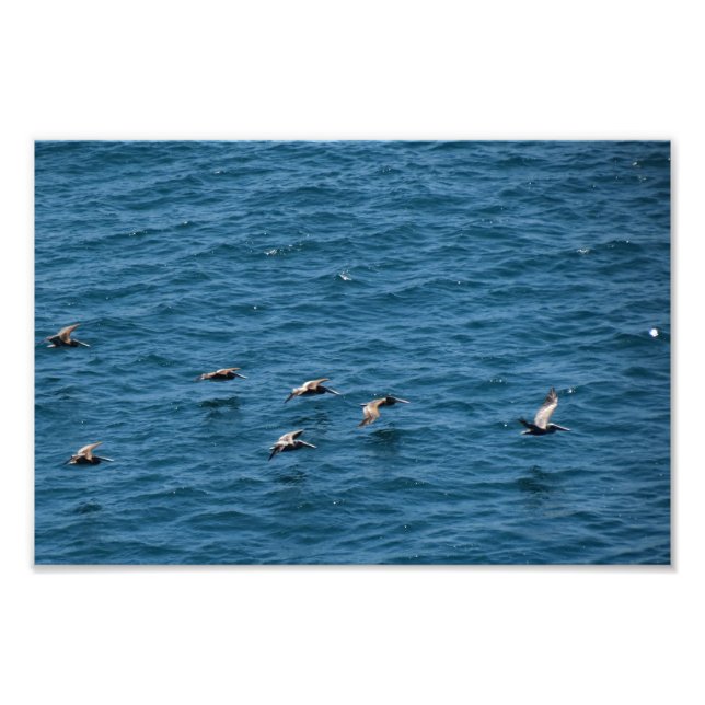 Point Dume Fototryck (Framsidan)