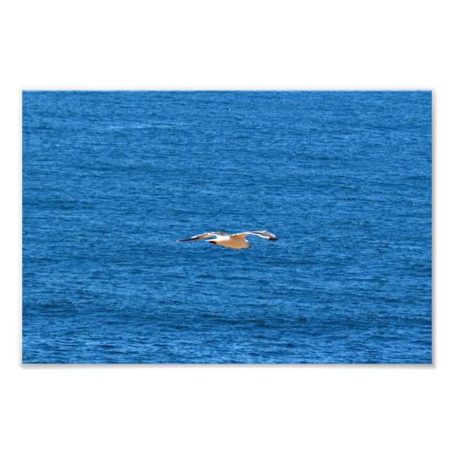 Point Dume Fototryck (Framsidan)