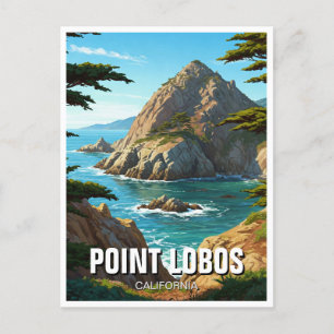 Point Lobos California Travel Vykort