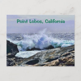 Point Lobos Central Kusten Kalifornien Vykort