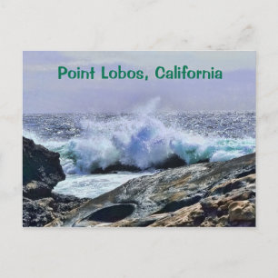 Point Lobos Central Kusten Kalifornien Vykort