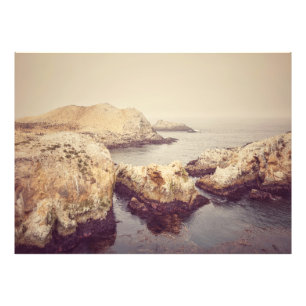 Point Lobos Kusten Fototryck