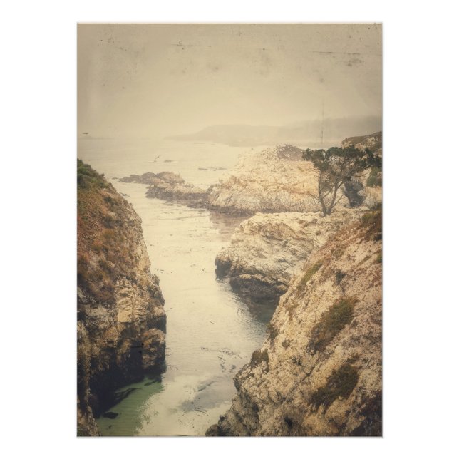 Point Lobos Kusten Fototryck (Framsidan)