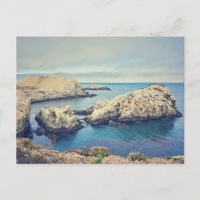 Point Lobos kustlandskap Vykort (Framsida)