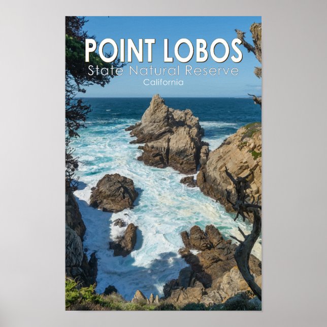 Point Lobos State Natural Reserve California Poster (Framsidan)
