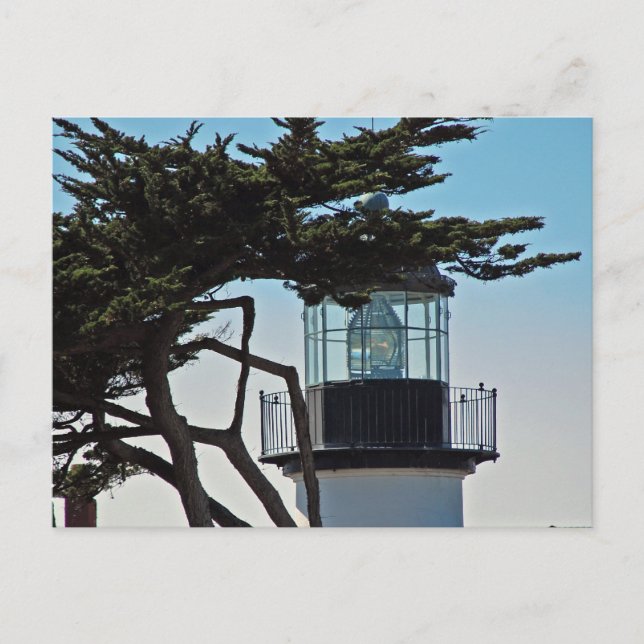 Point Pinos Lighthouse Vykort (Framsida)