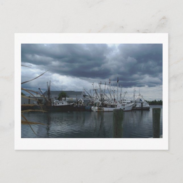 Point Pleasant Beach FishBoats Vykort (Framsida)