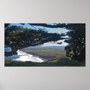 Point Reyes between Träd Poster