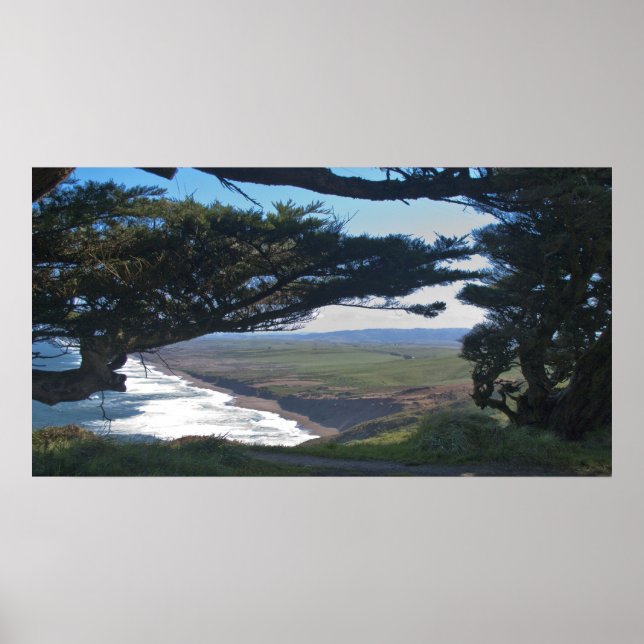 Point Reyes between Träd Poster (Framsidan)