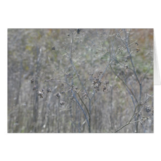 Point Reyes, Ca OBS Kort