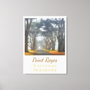 Point Reyes Canvastryck